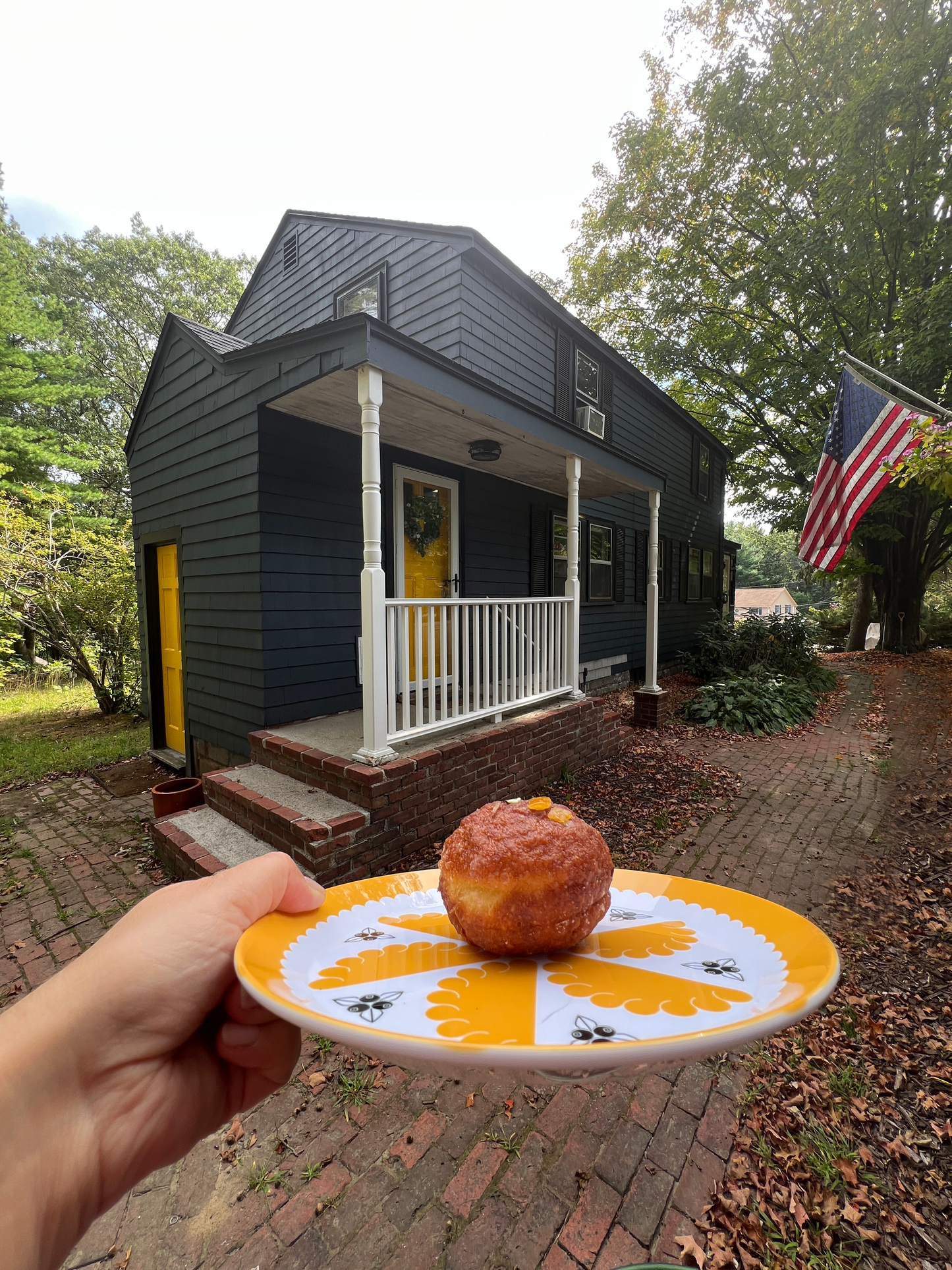 Pierogi Party Plastic Plates