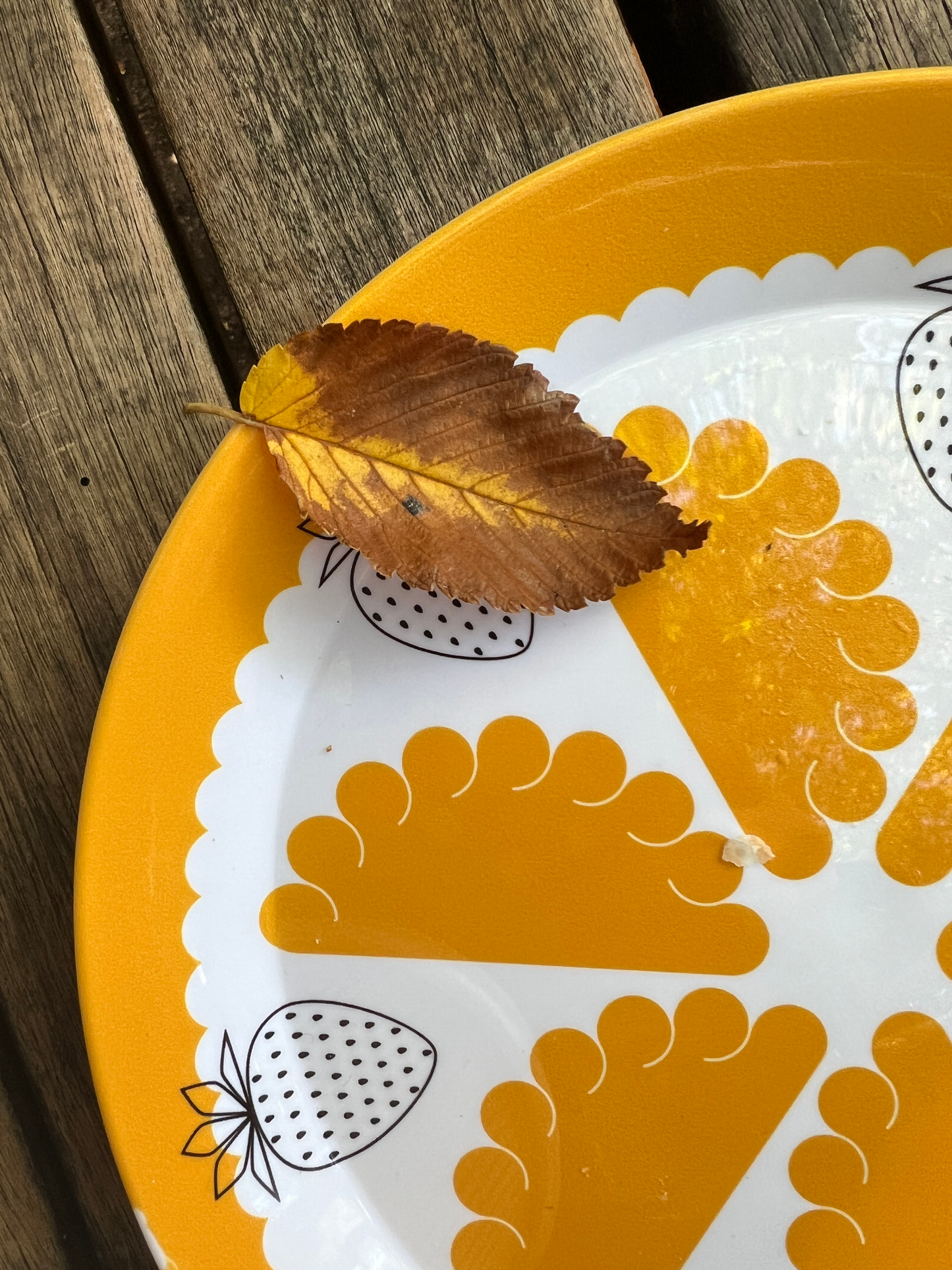 Pierogi Party Plastic Plates