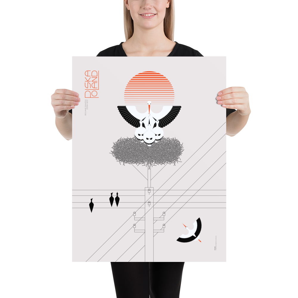 Storki—Bocianie Gniazdo/Stork Nest 18" x 24"