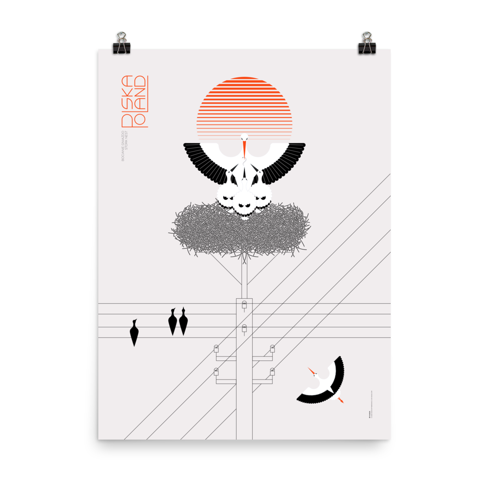 Storki—Bocianie Gniazdo/Stork Nest 18" x 24"